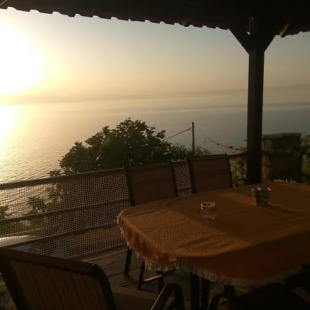 Karantola Kallirachi *