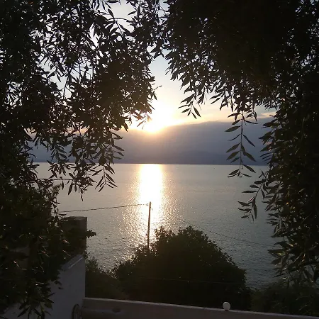 Karantola Kallirachi